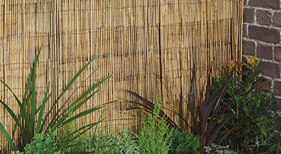 Тростниковые заборы и бамбуковые заборы