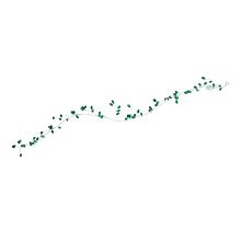 LED-garland SHINE 1m, green