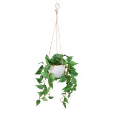 Mākslīgais augs GREENLAND podiņā