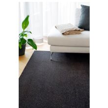 Carpet EDEN 200x300cm, carbon, velour pile