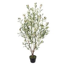 Mākslīgais koks WIND OLIVE  H130cm