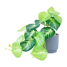 Artificial plant GREENLAND H15cm