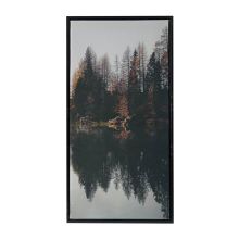 Холст с рамой WALLY 30x60cm, лес C