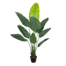 Mākslīgais augs WIND BIRD OF PARADISE H150cm