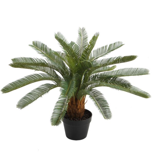 Mākslīgs augs CYCAS H70cm, melns puķupods