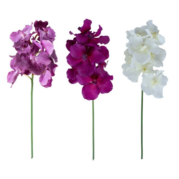 Orhideja FLOWERLY H60cm, mix