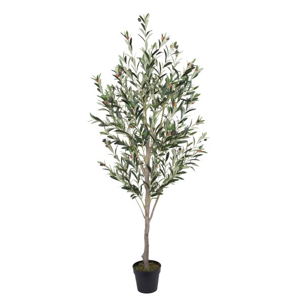 Mākslīgais koks WIND OLIVE H180cm