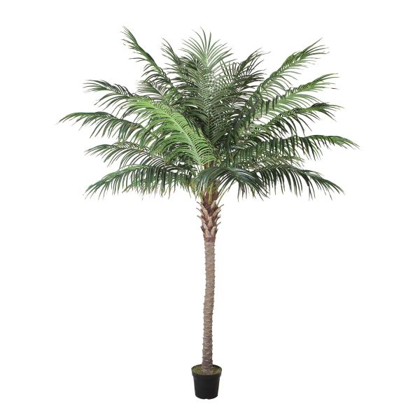 Mākslīgais koks WIND PALM H260cm