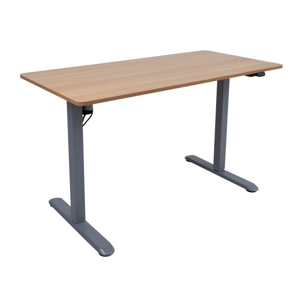 Desk ERGO LIGHT with 1 motor 120x60xH73-118cm, oak/silver grey