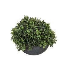 Mākslīgs zieds / augs IN GARDEN D24xH19cm, zaļš, pelēks puķupods