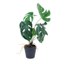 Искусственное растение GREENLAND H40см, Монстера