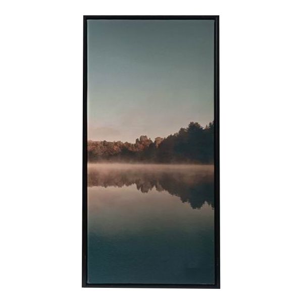 Kanva ar rāmi WALLY 30x60cm, ezers C