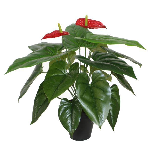 Mākslīgs augs ANTHURIUM H45cm, flamingo, melns puķupods