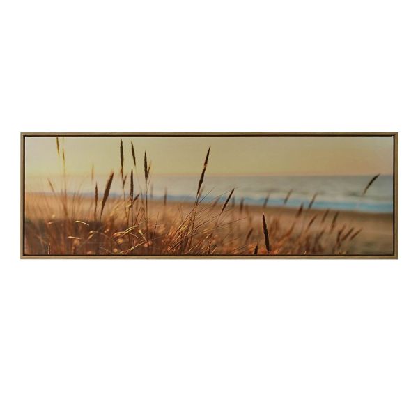 Kanva ar rāmi WALLY 30x90cm, meldri