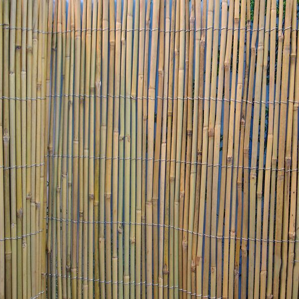 Bamboo cane fence IN GARDEN 1,5x5m, D8/10mm