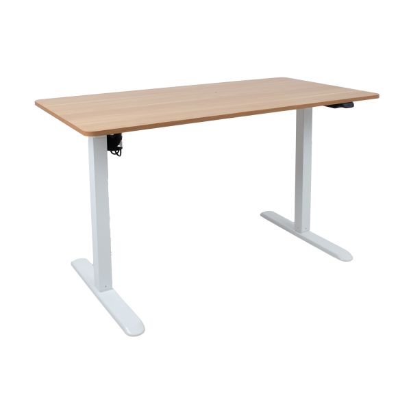 Desk ERGO LIGHT with 1 motor 120x60xH73-118cm, oak/white