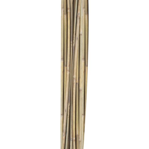 Bamboo canes IN GARDEN H150cm 10pcs/set D10/12mm