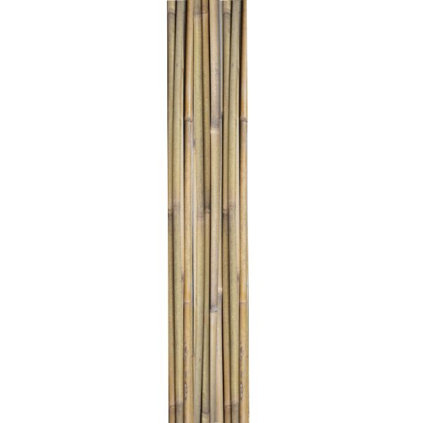 Bamboo canes IN GARDEN H180cm 10pcs/set D12/14mm
