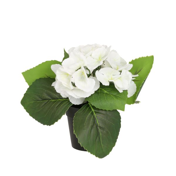Artificial flower IN GARDEN H18cm, white hydrangea with pot