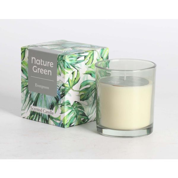 Aromātiskā svece stiklā NATURE GREEN H9,5cm, Evergreen