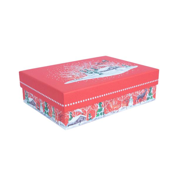 Kaste NOEL 22x16cm, ar vāku, mix