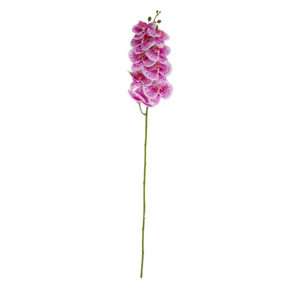 Orchid FLOWERLY H94cm, roosa