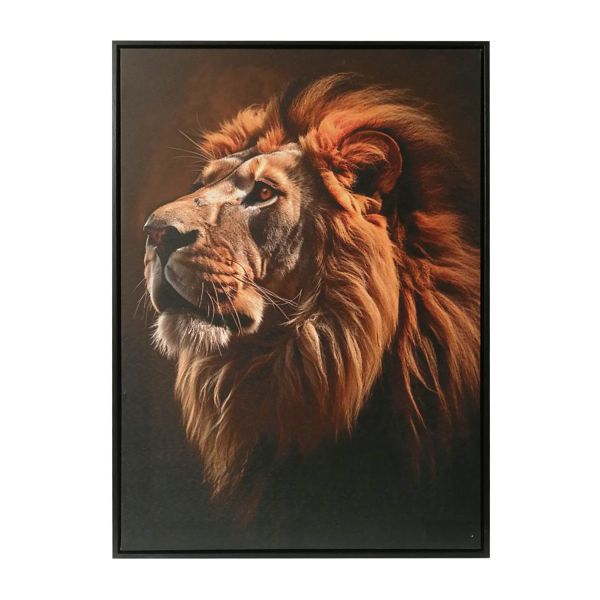 Холст с рамой WALLY 50x70см, лев