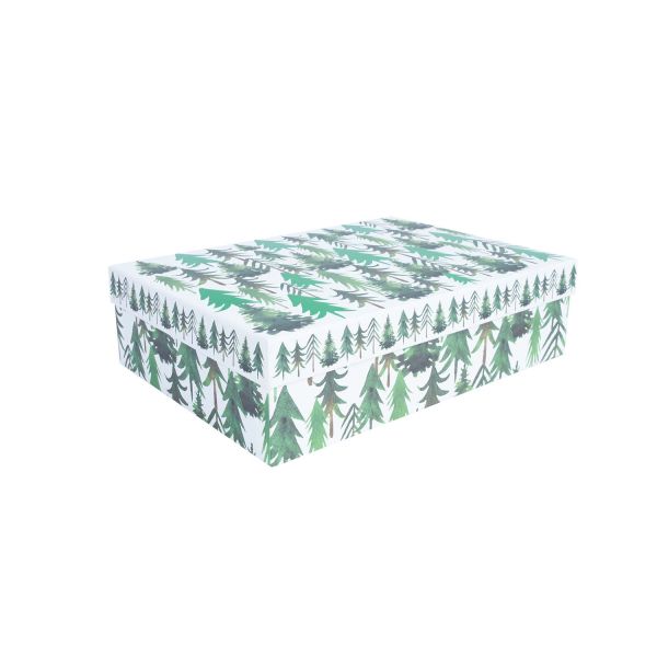 Kaste CLAUS 22x16cm, ar vāku, mix