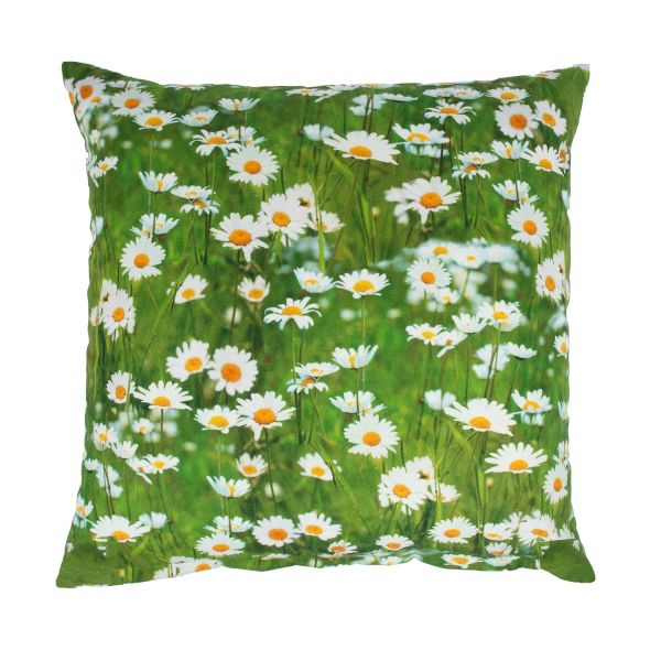Spilvens HOLLY 45x45cm, margrietiņas