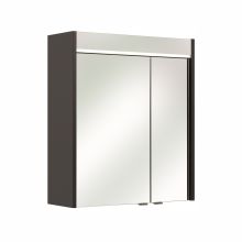 Mirror cabinet with LED lighting 23-I, 60x20xH70cm, anthracite