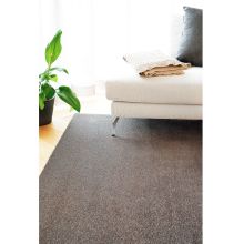Carpet EDEN 200x300cm, linen, velour pile